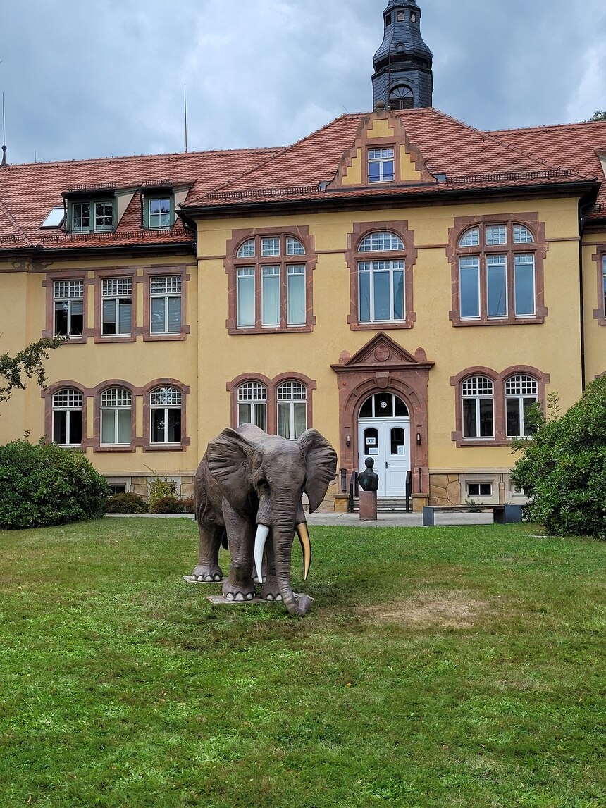 Eine Elefantenskulptir steht auf der Wiese. Im Hintergrund das Haus 2 der Landsesschule für Blinde und Sehbehinderte Chemnitz