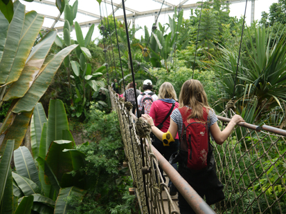 Eine Gruppe von Schülern und Lehrern läuft vorsichtig über eine schmale Hängebrücke im Gondwanaland.