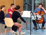 Musiker von der Robert-Schuhmann-Philharmonie spielen auf ihren Streichinstrumenten in der Turnhalle. Eine Frau steht daneben vor einem Mikrofon.