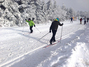 Zwei Skifahrer auf der Loipe